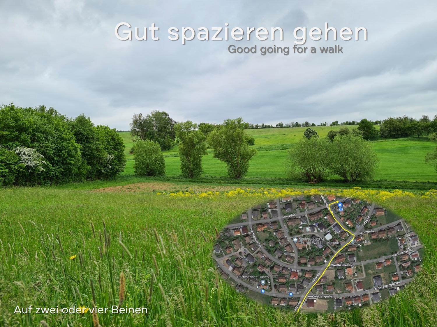 Lichtdurchflutetes Zimmer - Mainwiesen Waldbuttelbrunn Dış mekan fotoğraf